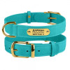 Нашийник для собак шкіряний Crazy ментоловий XS, 19-25 см