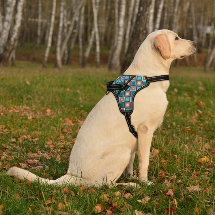 Шлея для собак BronzeDog Urban Comfort, Ромбы XL 62-80 см