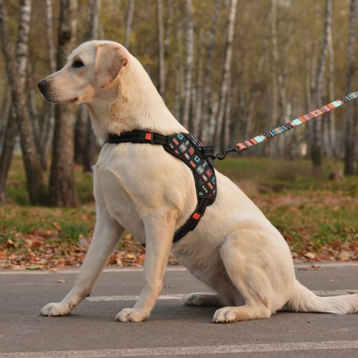 Шлея для собак Urban Comfort, Ацтеки M 45-57 см