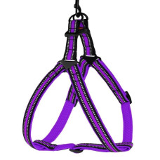 Шлея для Собак BronzeDog Mesh Стандарт, Фиолетовая M 45-56 см