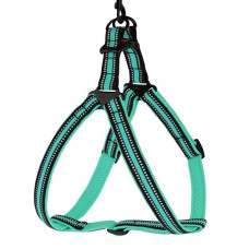 Шлея для Собак BronzeDog Mesh Стандарт, Ментоловая M 45-56 см