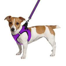 Шлея для собак Mesh Vest 3D сітка, Фіолетова 4XS 20 см 24 см