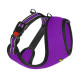 Шлея для Дрібних Порід Собак Mesh, Фіолетовий