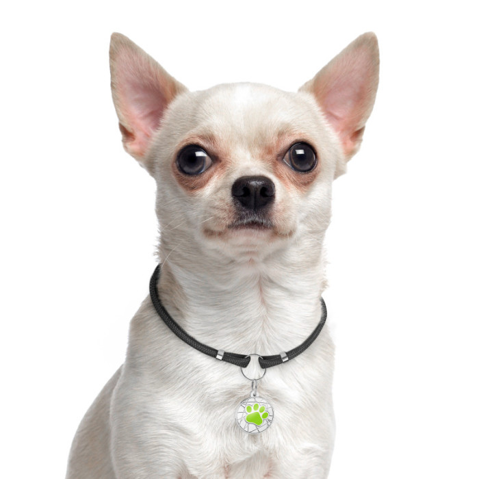 Шнурок для адресников из паракорда для собак и кошек Черный, S 20-40 см