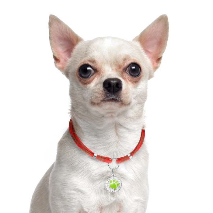 Шнурок для адресников из паракорда для собак и кошек Красный, S 20-40 см