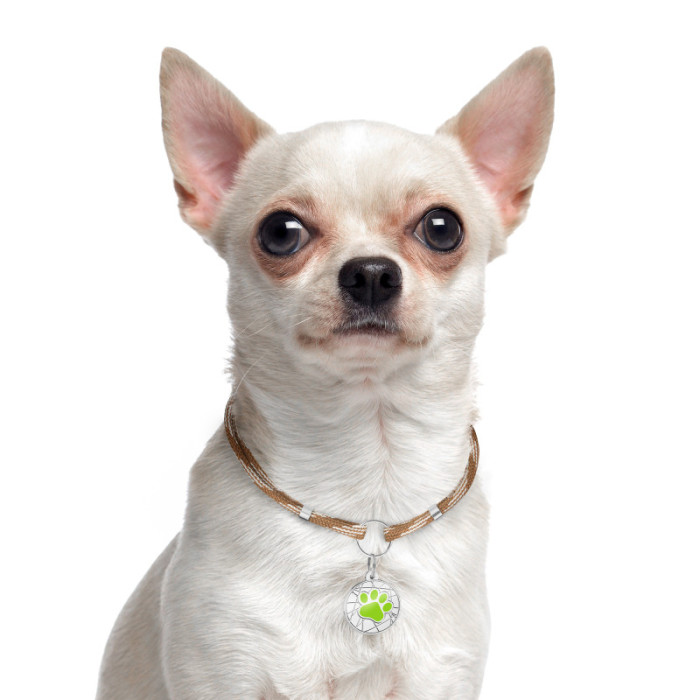 Шнурок для адресников из паракорда для собак и кошек Коричневый, S 20-40 см