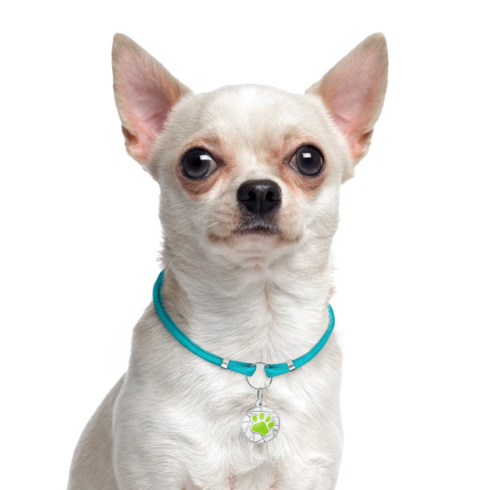 Шнурок для адресников из паракорда для собак и кошек Голубой, M 40-70 см