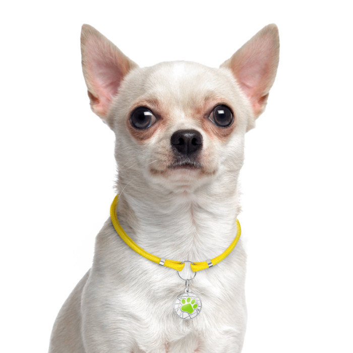 Шнурок для адресников из паракорда для собак и кошек Желтый, M 40-70 см