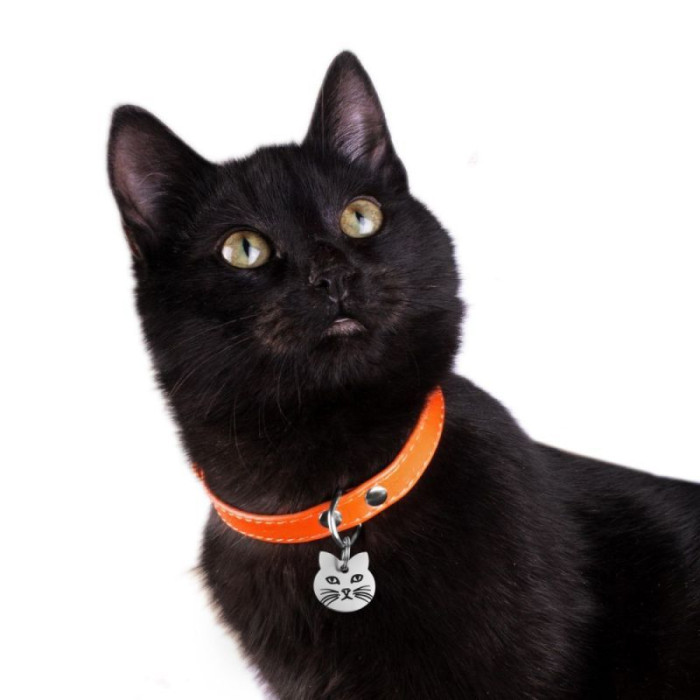 Адресник для Котов BronzeDog из Нержавеющей Стали Тип 1, 2 см 1,9 см 