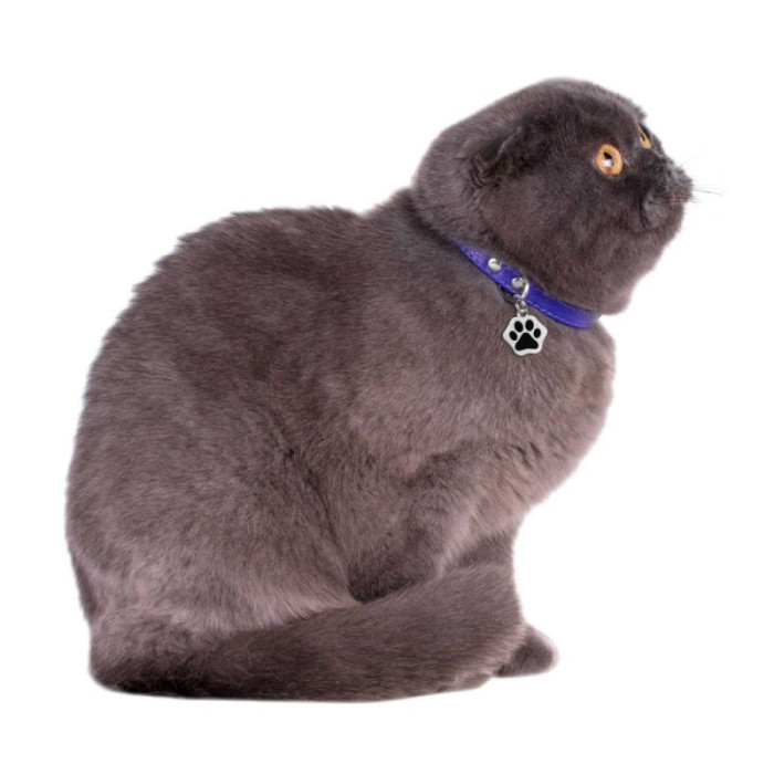 Адресник Позолота 3, 2 см