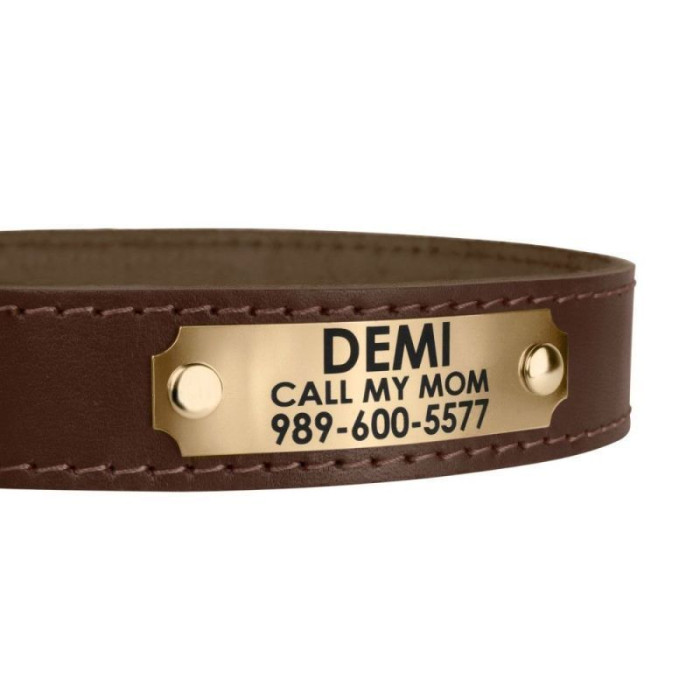 Адресник для Собак BronzeDog на Заклепках Сталь