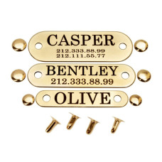 Адресник для Собак BronzeDog на Заклепках Позолота