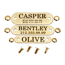 Адресник для Собак BronzeDog на Заклепках Позолота, овальный, гибкий