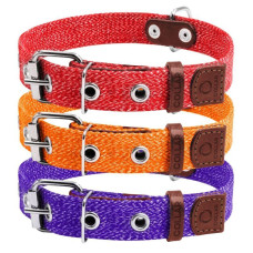 Ошейник CoLLaR х/б тесьма из брезента  см 