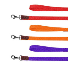 Поводок брезентовый CoLLaR с хромированным карабином, 2м