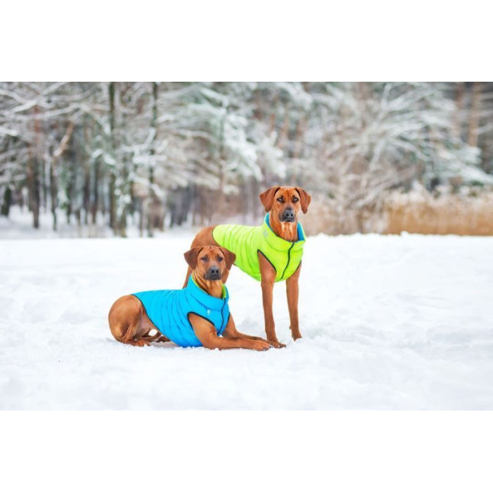 Двусторонняя курточка AiryVest для собак, cалатово-голубая L65 62-65 см 87-89 см