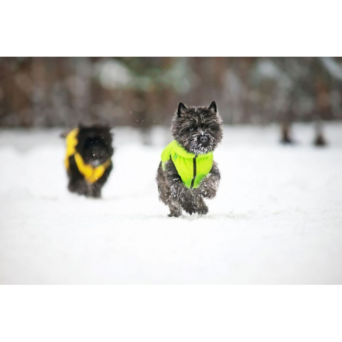 Двусторонняя курточка AiryVest для собак, желто-cалатовая XS22 20-22 см 33-35 см