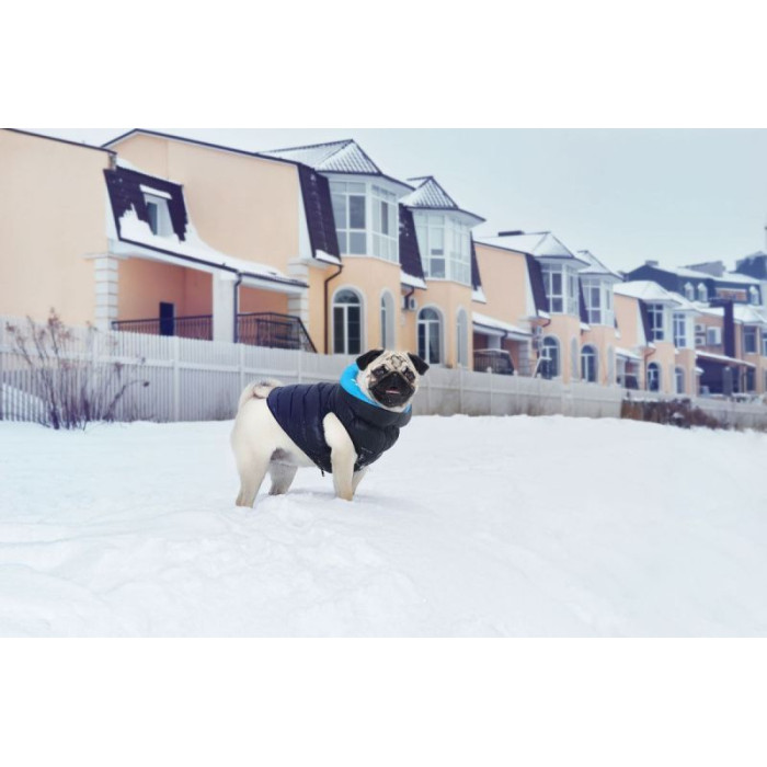 Двусторонняя курточка AiryVest для собак, черно-голубая XS22 20-22 см 33-35 см