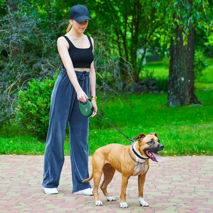 Повідець-рулетка для собак WAUDOG R-leash з контейнером для пакетів, світловідбиваюча стрічка, зелений, розмір L, до 40 кг, 5 м