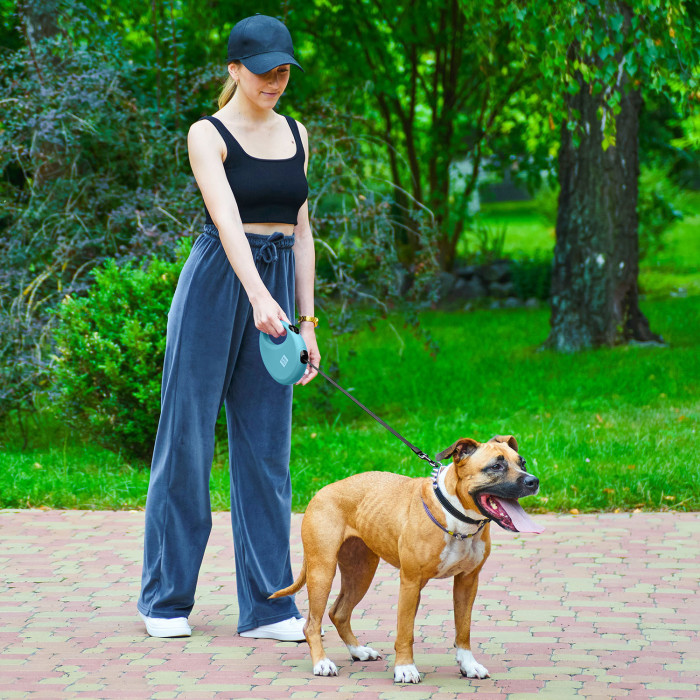 Поводок-рулетка для собак WAUDOG R-leash с контейнером для пакетов, светоотражающая лента, голубой, размер L, до 40 кг, 5 м