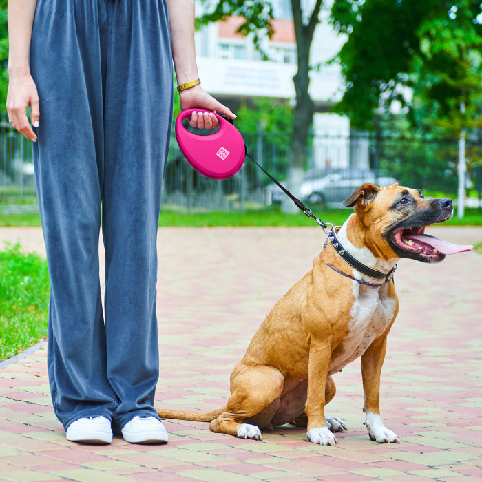 Повідець-рулетка для собак WAUDOG R-leash з контейнером для пакетів, світловідбиваюча стрічка, рожевий, розмір M, до 20 кг, 5 м