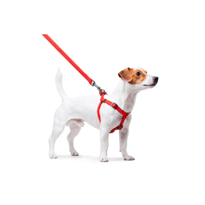 Шлея для собак водостійка WAUDOG Waterproof, c QR паспортом, металева пряжка-фастекс, Ш 15 мм, Дов 40-55 см червоний