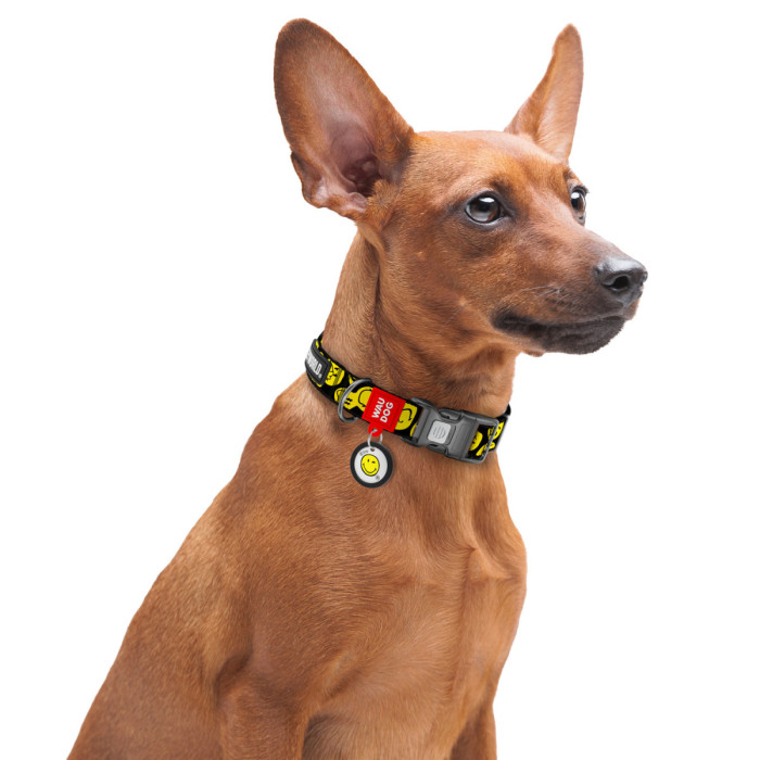 Нашийник для собак нейлоновий WAUDOG Nylon з QR-паспортом, малюнок "Смайли на чорному", пластиковий фастекс, S, Ш 15 мм, Дл 25-35 см