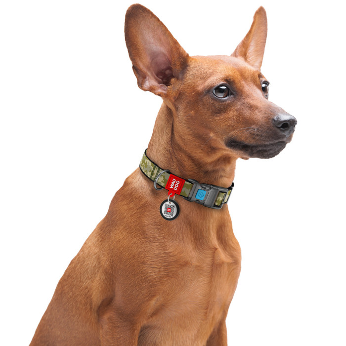 Ошейник для собак нейлоновый WAUDOG Nylon c QR-паспортом, рисунок "Милитари", пластиковый фастекс, L, Ш 25 мм, Дл 35-49 см