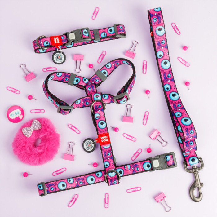 Ошейник для собак нейлоновый WAUDOG Nylon с QR паспортом, рисунок "Око монстра", пластиковый фастекс S 25-35 см