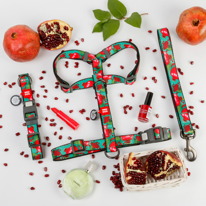 Ошейник для собак нейлоновый WAUDOG Nylon с QR паспортом, рисунок "Гранаты", пластиковый фастекс L 33-49 см