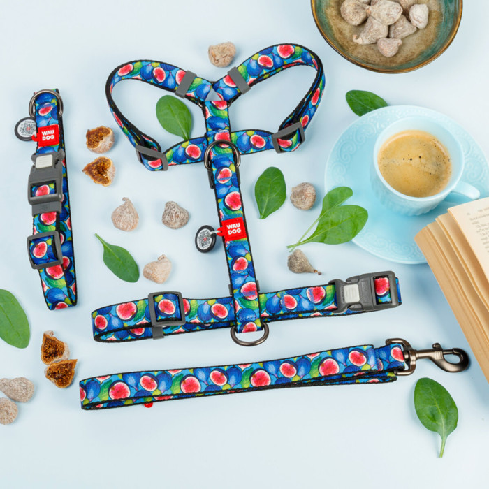 Ошейник для собак нейлоновый WAUDOG Nylon с QR паспортом, рисунок "Инжир", пластиковый фастекс XXL 46-70 см