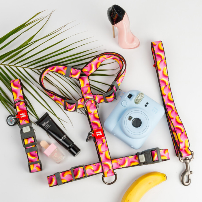 Нашийник для собак нейлоновий WAUDOG Nylon з QR паспортом, малюнок "Банани на рожевому", пластиковий фастекс XXL 46-70 см