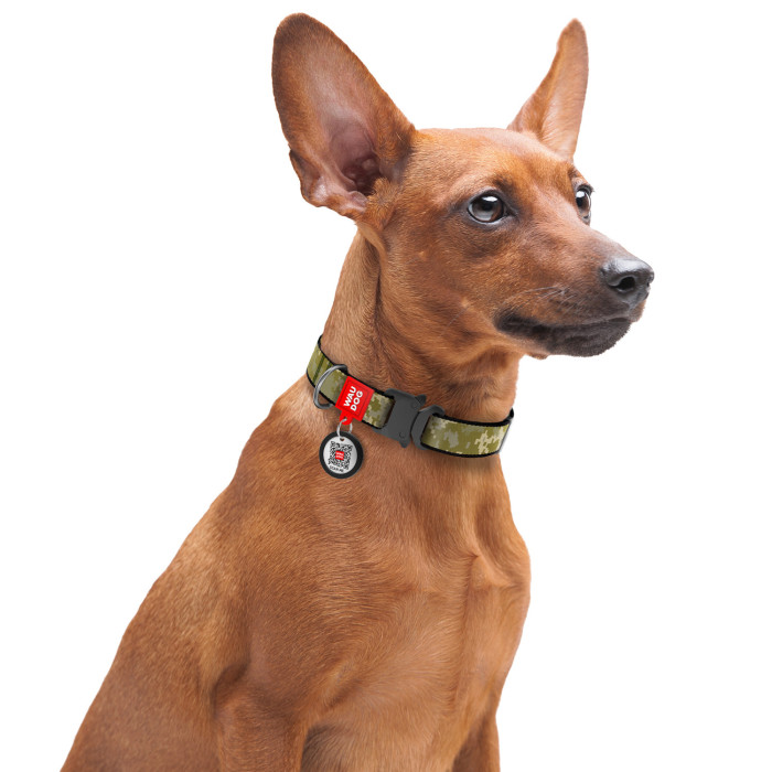 Ошейник для собак нейлоновый WAUDOG Nylon c QR-паспортом, рисунок "Милитари", металлический фастекс, XXL, Ш 35 мм, Дл 47-70 см