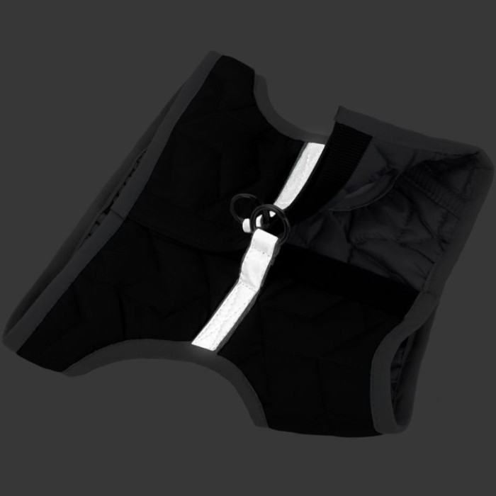 Мягкая нейлоновая шлея для собак AiryVest ONE Лайм XS1 24-27 см