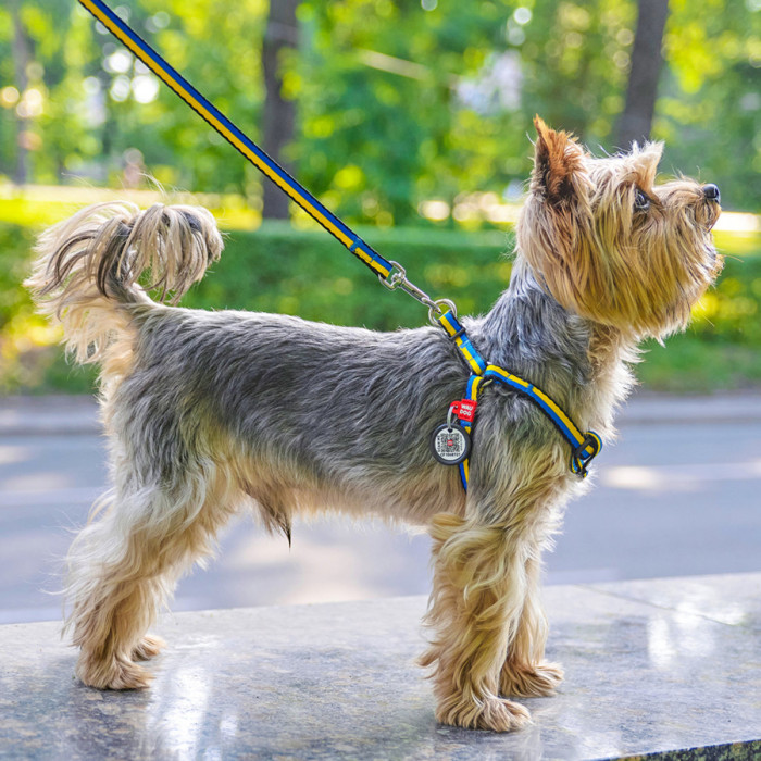 Шлея для собак анатомічна WAUDOG NYLON з QR паспортом, малюнок "COLORS OF FREEDOM", пластиковий фастекс, XS, ш 10 мм, д 28-40 см