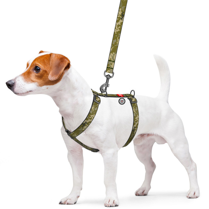 Шлея для собак анатомическая H-образная WAUDOG Nylon с QR-паспортом, рисунок "Милитари", пластиковый фастекс, L, Ш 25 мм, А 50-90, В 60-100
