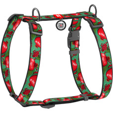 Шлея для собак анатомическая H-образная WAUDOG Nylon с QR-паспортом, рисунок "Гранаты", пластиковый фастекс, М, Ш 20 мм, А 40-70, В 50-80