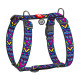Шлея для собак анатомічна H-подібна WAUDOG Nylon з QR-паспортом, малюнок "Інді", пластиковий фастекс, XL, Ш 35 мм, А 55-95 см, В 70-110 см
