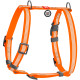 Шлея для собак водостійка анатомічна Н-подібна WAUDOG Waterproof з QR-паспортом, світловідбивна, пластикова пряжка-фастекс, М, Ш 20 мм, А 40-66 см, В 50-80 см, помаранчевий