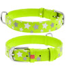 Ошейник WAUDOG Glamour с узором "Звездочка", Салатовый XS 19-25  см