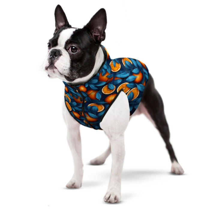 Курточка для собак WAUDOG Clothes рисунок "Апельсины", M45, В 61-65 см, С 38-42 см