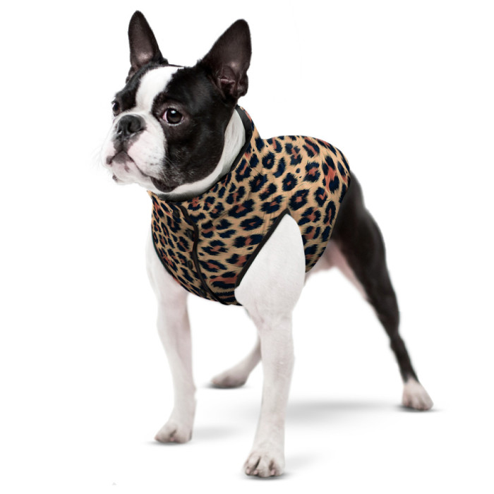 Курточка для собак WAUDOG Clothes рисунок "Леопард", XS25, В 37-40 см, С 24-27 см