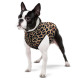 Курточка для собак WAUDOG Clothes рисунок "Леопард", XS25, В 37-40 см, С 24-27 см