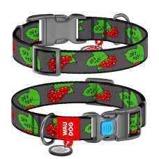 Нашийник для собак нейлоновий WAUDOG Nylon з QR-паспортом, малюнок "Калина", пластиковий фастекс, S, 15 мм, 23-35 см