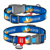 Ошейник для собак нейлоновый WAUDOG Nylon c QR-паспортом, рисунок "Флаг", пластиковый фастекс, M, 20 мм, 24-40 см