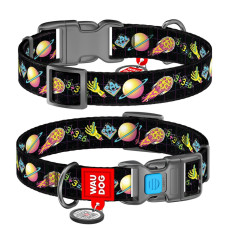 Ошейник для собак нейлоновый WAUDOG Nylon c QR-паспортом, рисунок "Рик и Морти 3", пластиковый фастекс, L, 25 мм, 31-49 см
