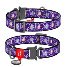 Нашийник для собак нейлоновий WAUDOG Nylon з QR паспортом, малюнок "Рік і Морті 2", металева пряжка-фастекс, XXL, 35 мм, 43-70 см