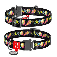 Нашийник для собак нейлоновий WAUDOG Nylon з QR-паспортом, малюнок "Рік і Морті 3", металева пряжка-фастекс, XL, 25 мм, 35-58 см