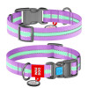 Нашийник WAUDOG Nylon з QR паспортом, що світиться, пластиковий фастекс, фіолетовий S 23-35 см