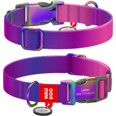 Ошейник для собак из нейлона WAUDOG NYLON RECYCLED с QR паспортом, фиолетовый градиент, L, 25 мм, 33-49 см